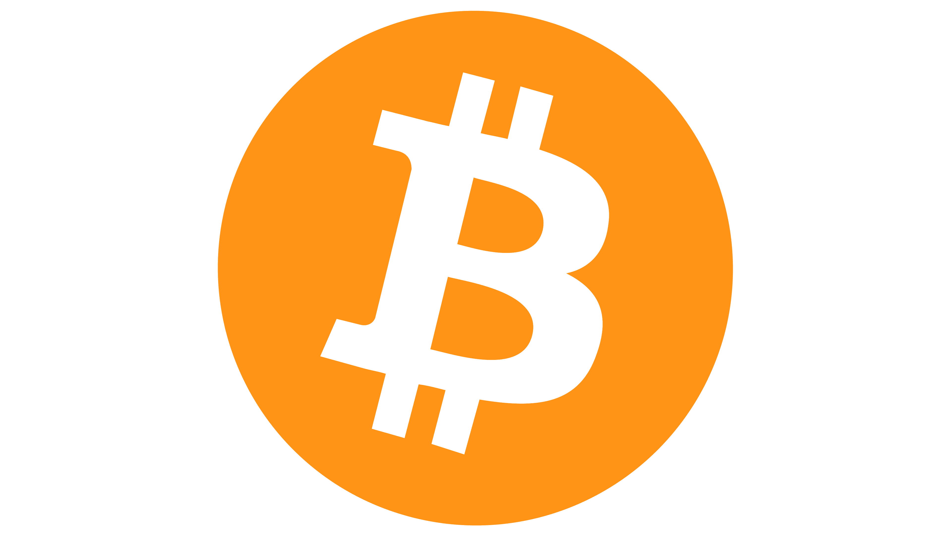 payment icon